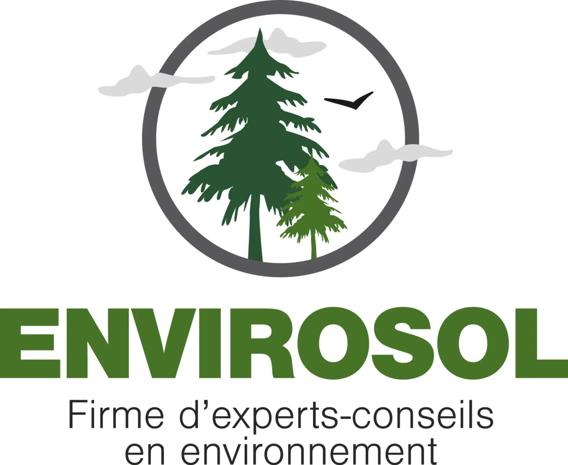 Logo de ENVIROSOL, firme d'experts-conseils en environnement, membre de la Chambre de commerce et d'industrie de Sherbrooke (CCIS). Le design représente des arbres, des nuages et un oiseau dans un cercle.