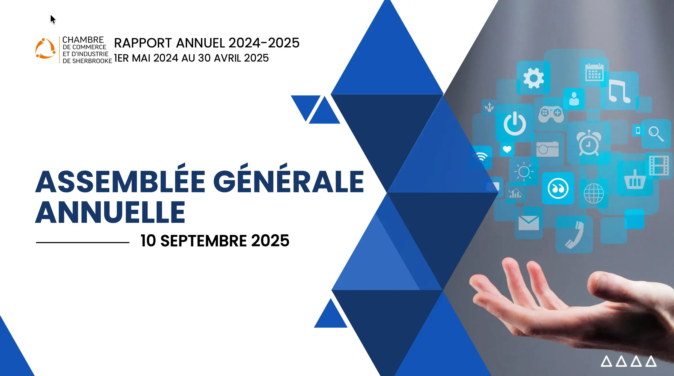 Rapport annuel