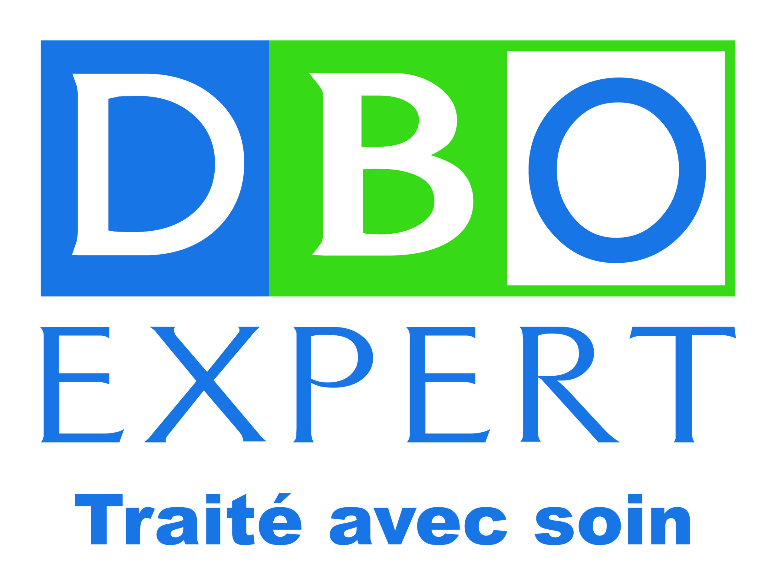 Logo DBO Expert scaled