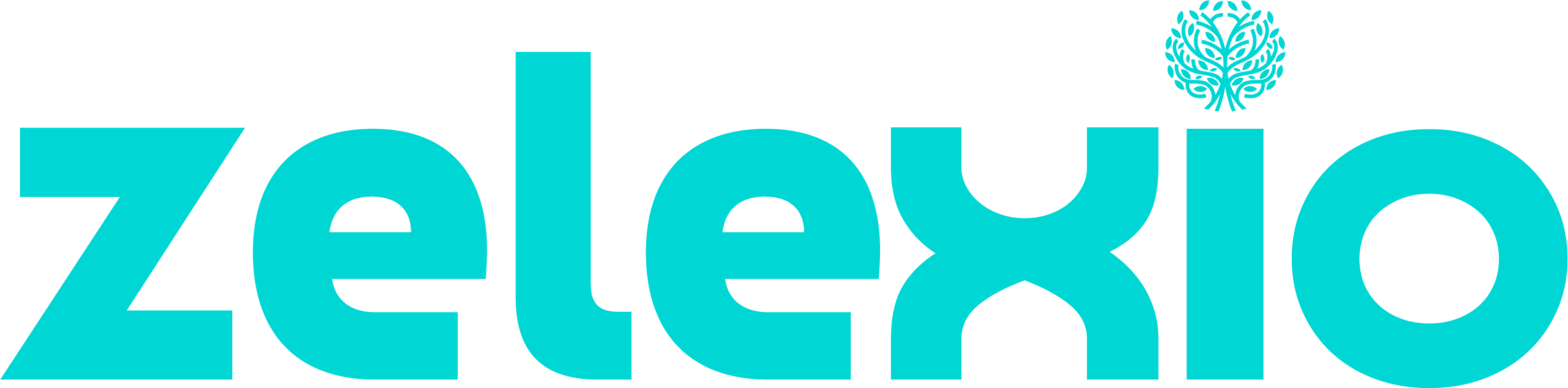 Logo Zelexio scaled